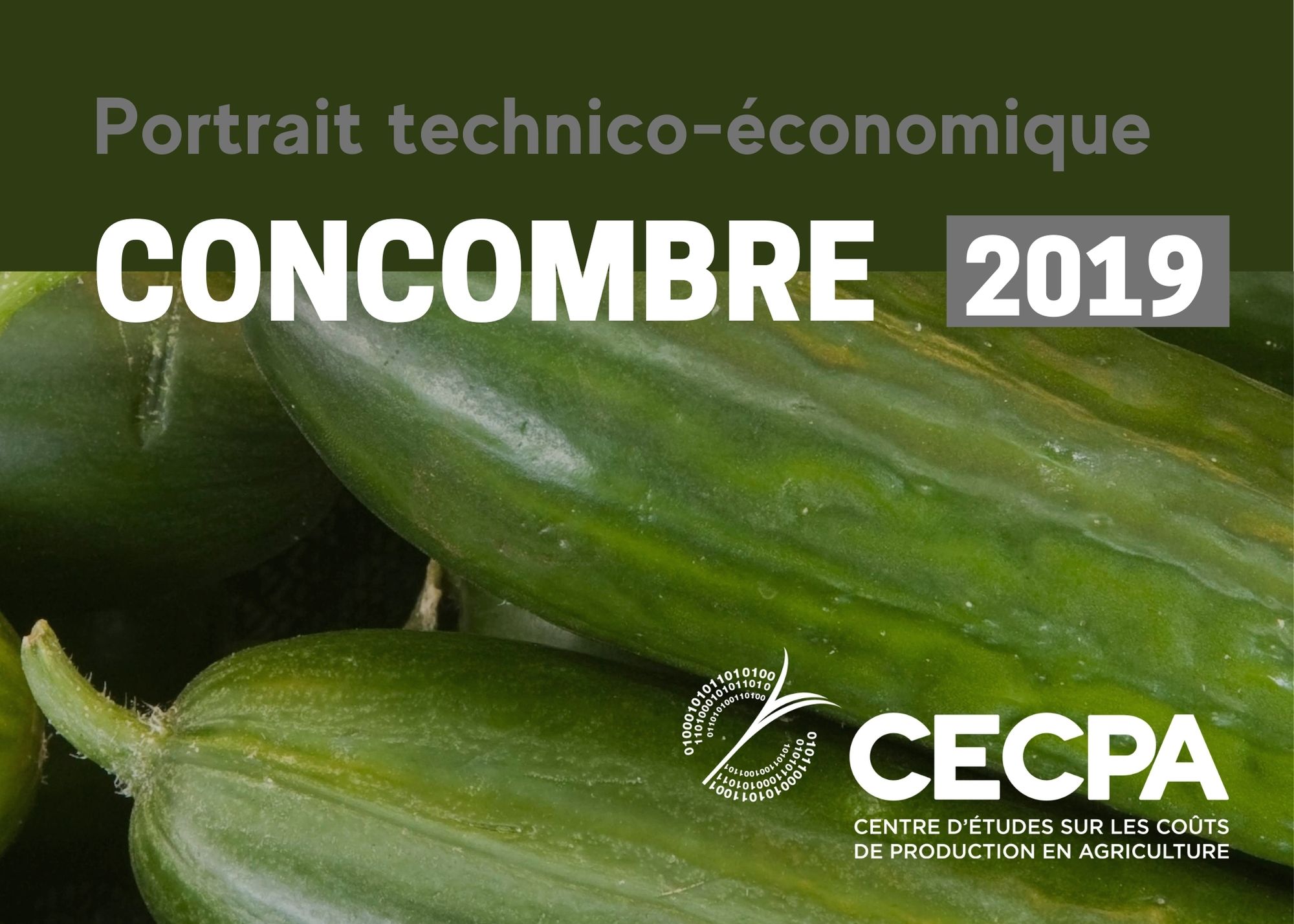 Récentes publications : Études technico-économique - Concombre 2019
